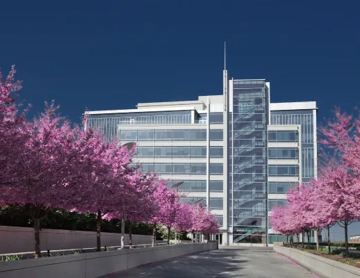 Verisign's headquarters building, a modern office with glass windows up a driveway lined with purple flowering trees.